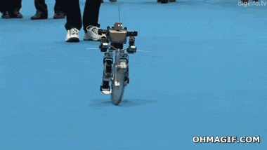 gif (7)