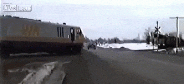 gif (9)