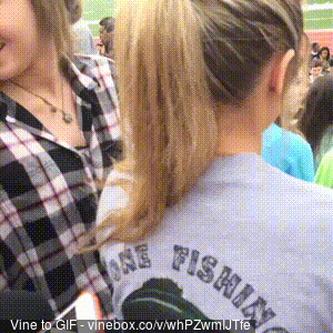 gif (21)
