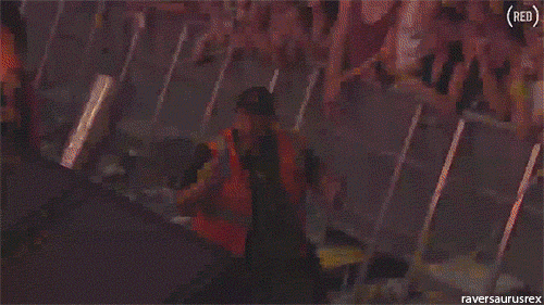 gif (3)
