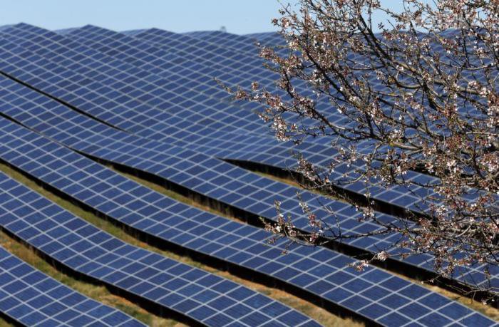 A general view shows solar panels to produce renewable energy at the photovoltaic park in Les Mees, in the department of Alpes-de-Haute-Provence