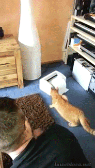 gifs_07