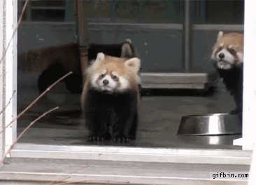 gifs_14