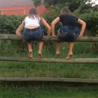 gifs_15