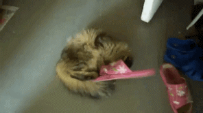 gifs_20