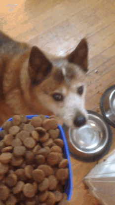 gifs_24