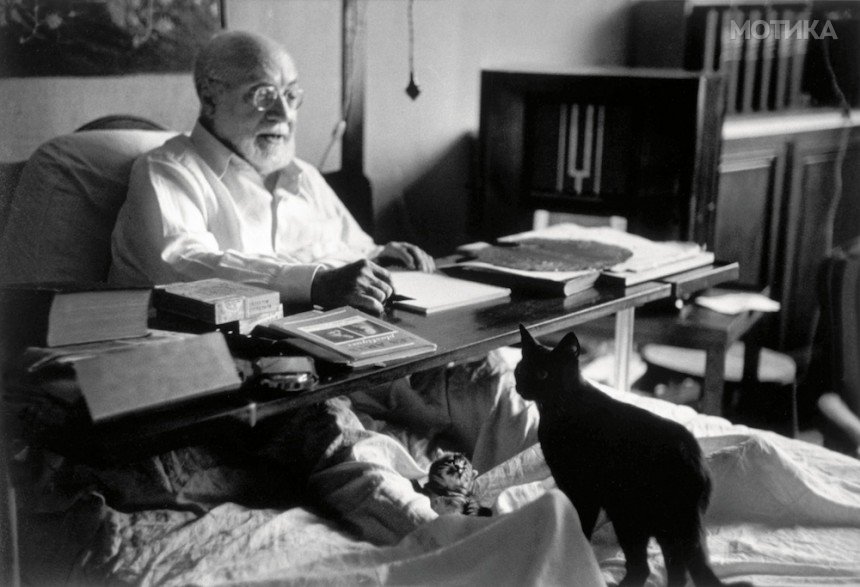 cats-matisse