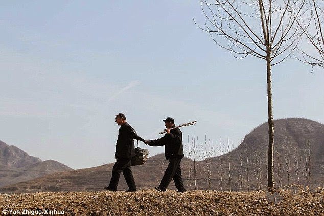 A blind man and his armless companion plant over 10,000 trees in China