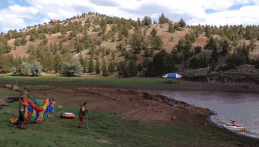 g (16)