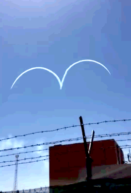 g (28)
