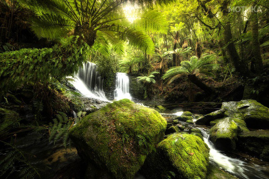 Photography-rescued-me-from-depression-and-helped-me-see-the-world-in-a-new-light.-1__880