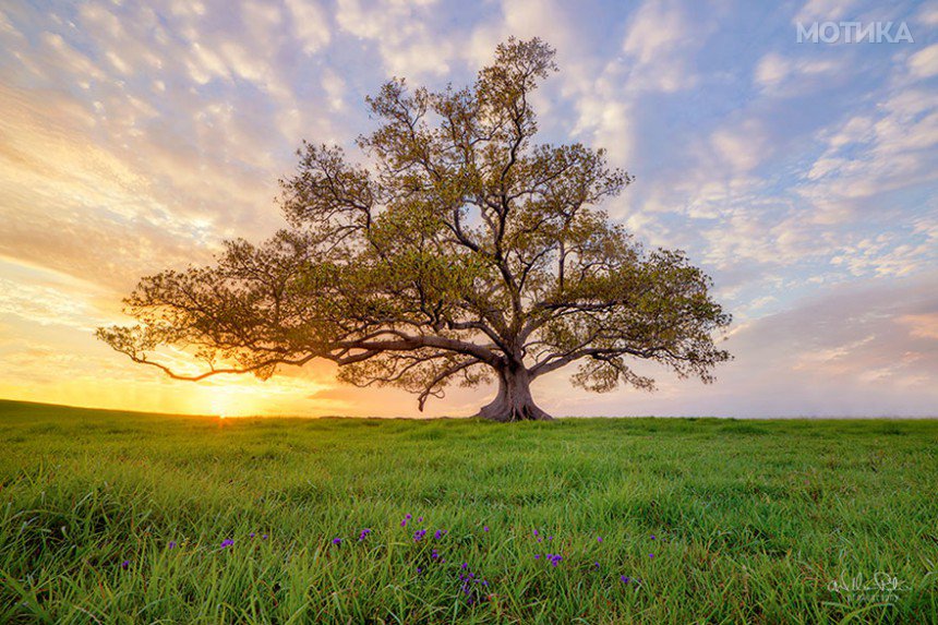 travel-nature-photography-depression-rescue-william-patino-5