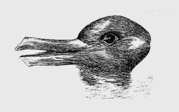 Test You See A Duck Or A Rabbit