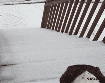 g (29)