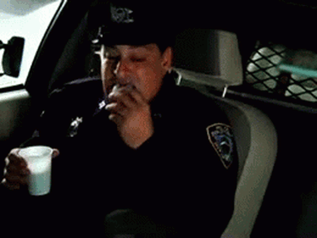 gif (1)