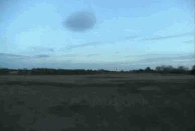 gif (5)