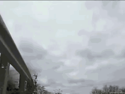 g (9)