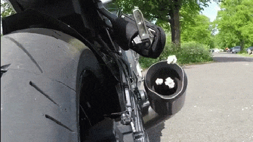 gif (2)