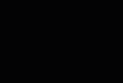 g (21)