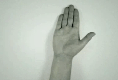 g (7)