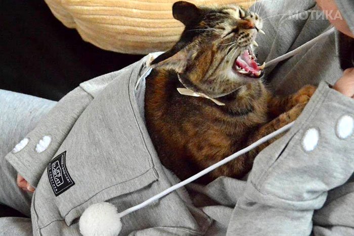 hoodie-cat-pouch-pocket-sweatshirt-mewgaroo-6