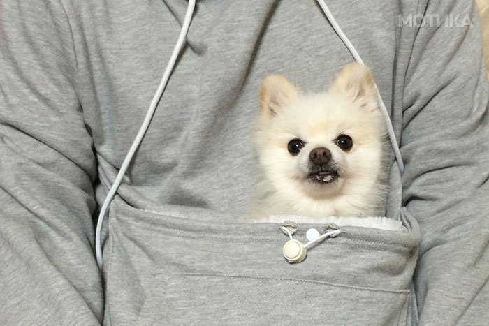 hoodie-cat-pouch-pocket-sweatshirt-mewgaroo-9