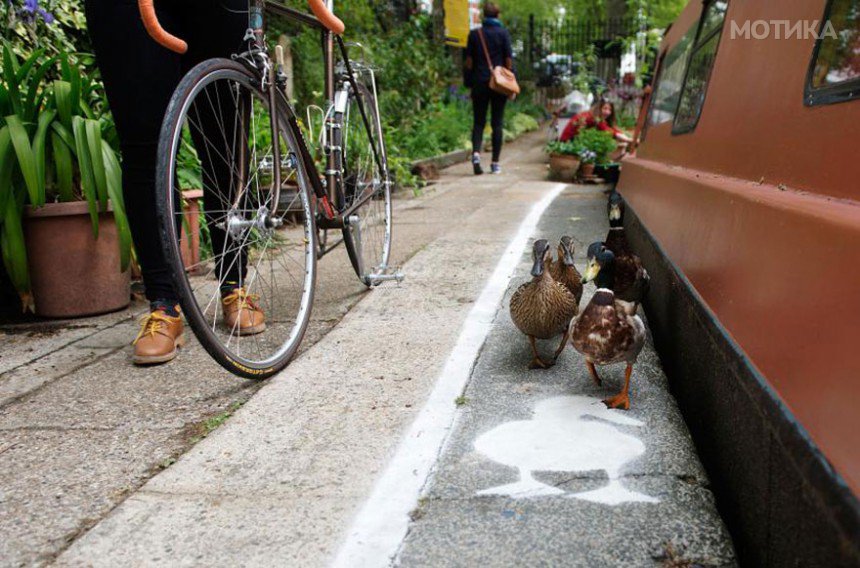 lane-duck-path-london-sharethespace-2