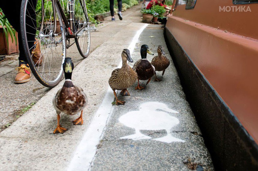 lane-duck-path-london-sharethespace-3