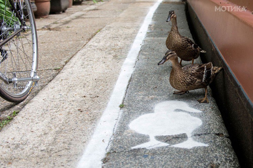 lane-duck-path-london-sharethespace-7