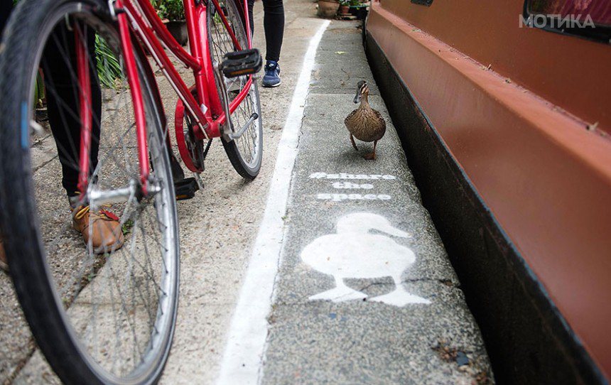 lane-duck-path-london-sharethespace-9