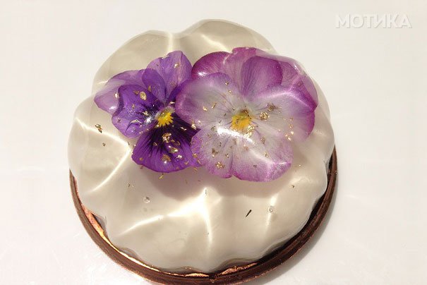 bavarian-cream-flower-bavarois-dessert-havaro-1