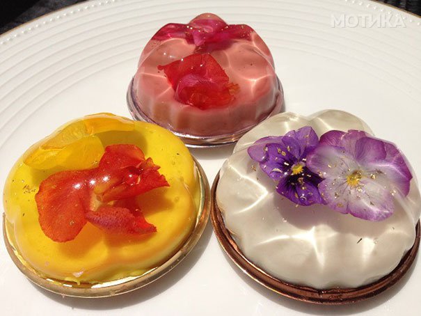 bavarian-cream-flower-bavarois-dessert-havaro-4