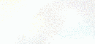 g (8)