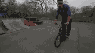 g (8)
