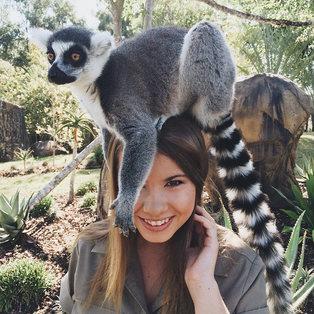 16-year-old-bindi-irwin-crocodile-hunter-fathers-legacy-australia-zoo-1