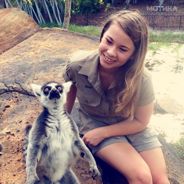 16-year-old-bindi-irwin-crocodile-hunter-fathers-legacy-australia-zoo-11