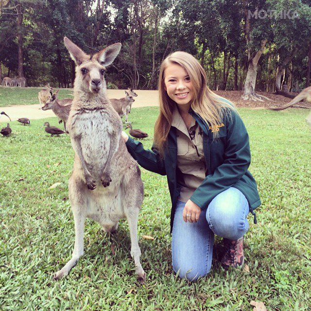 16-year-old-bindi-irwin-crocodile-hunter-fathers-legacy-australia-zoo-13