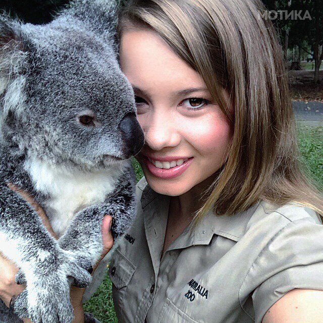 16-year-old-bindi-irwin-crocodile-hunter-fathers-legacy-australia-zoo-14