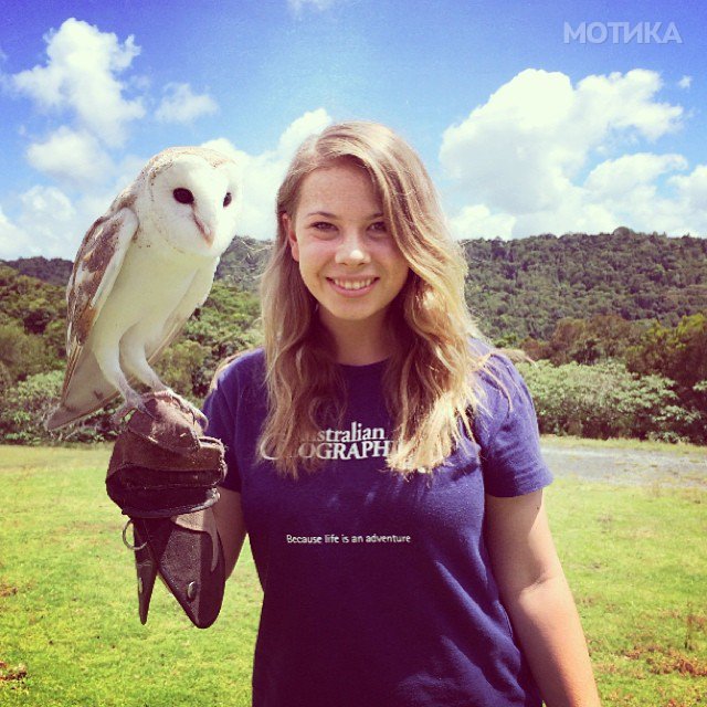 16-year-old-bindi-irwin-crocodile-hunter-fathers-legacy-australia-zoo-15