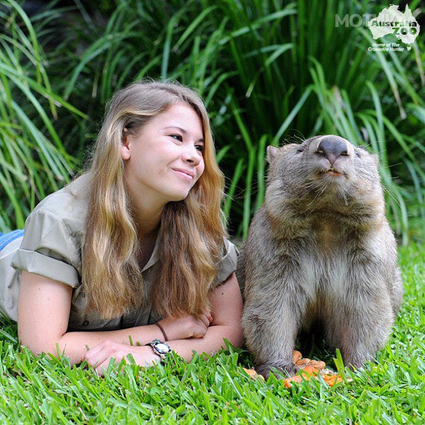 16-year-old-bindi-irwin-crocodile-hunter-fathers-legacy-australia-zoo-8