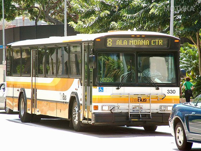 city-bus-shelter-homeless-group-70-hawaii-8