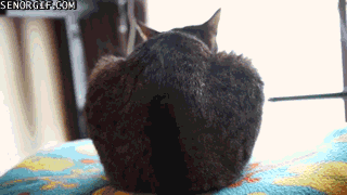 g (2)