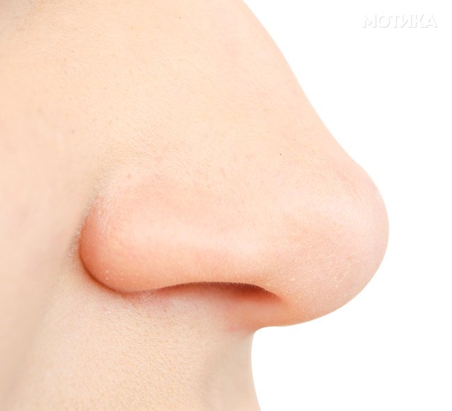 human nose