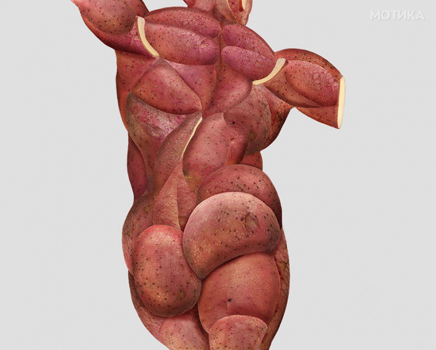 I-Create-Realistic-Human-Anatomical-Parts-From-Fruits-Vegetables-__880