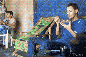 g (13)