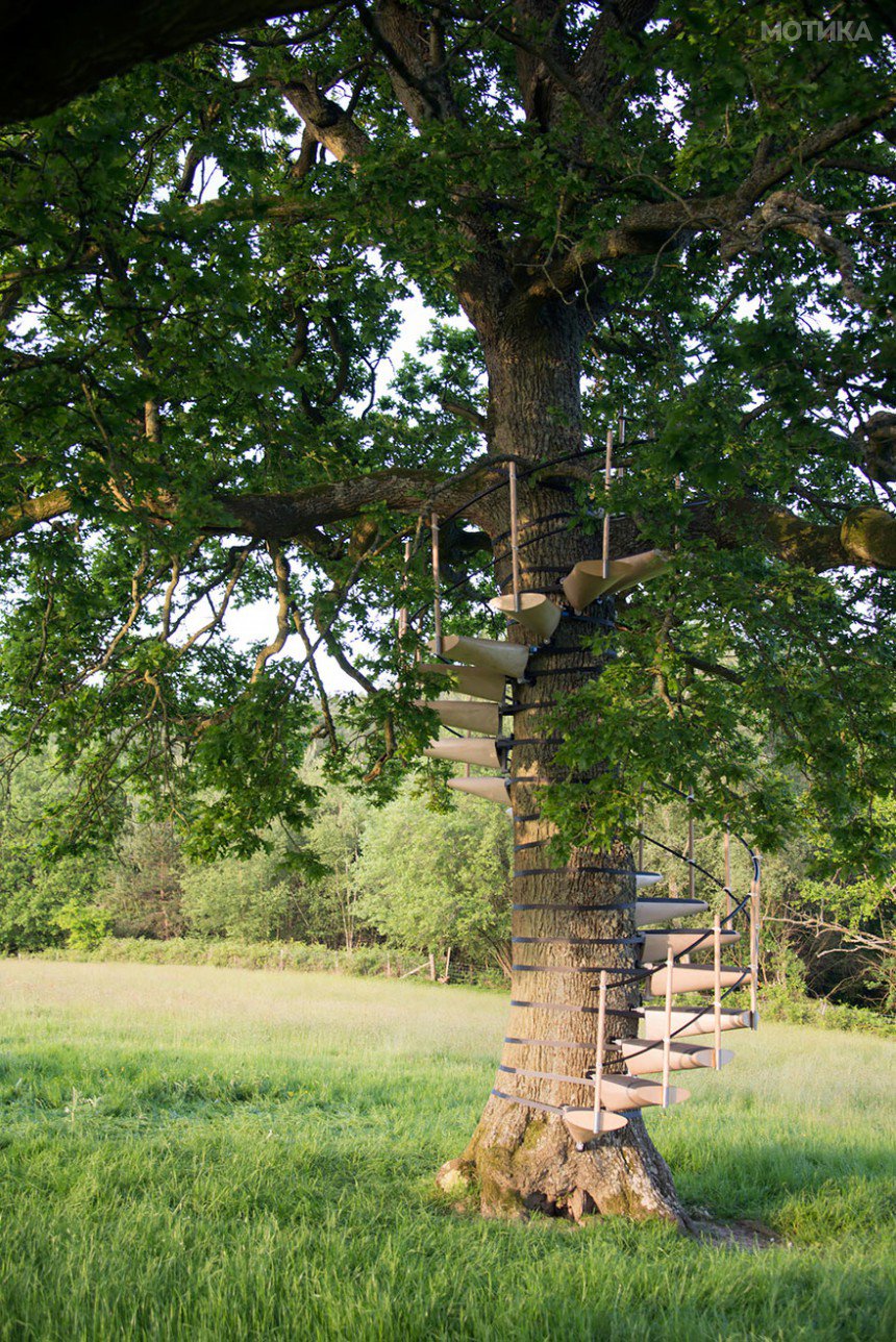 canopy-tree-stairs-thor-ter-kulve-robert-mcintyre-canopystair-2