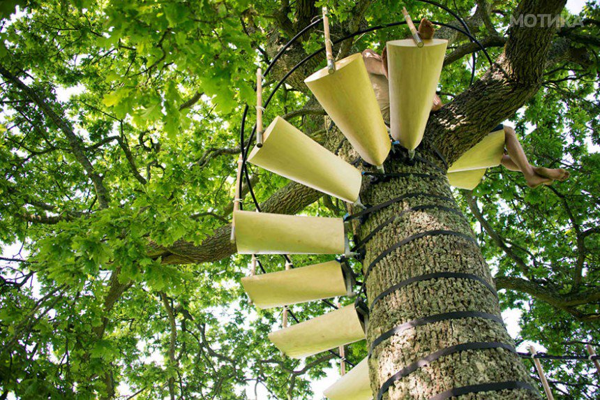 canopy-tree-stairs-thor-ter-kulve-robert-mcintyre-canopystair-5