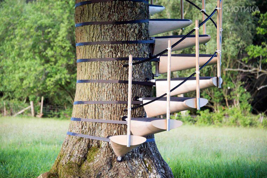 canopy-tree-stairs-thor-ter-kulve-robert-mcintyre-canopystair-6