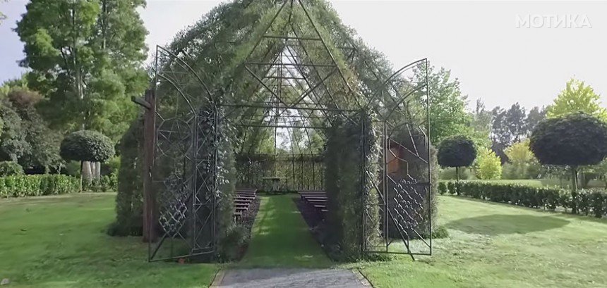 tree-church-nature-installation-barry-cox-new-zealand-10