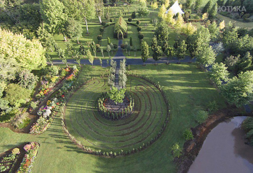 tree-church-nature-installation-barry-cox-new-zealand-4